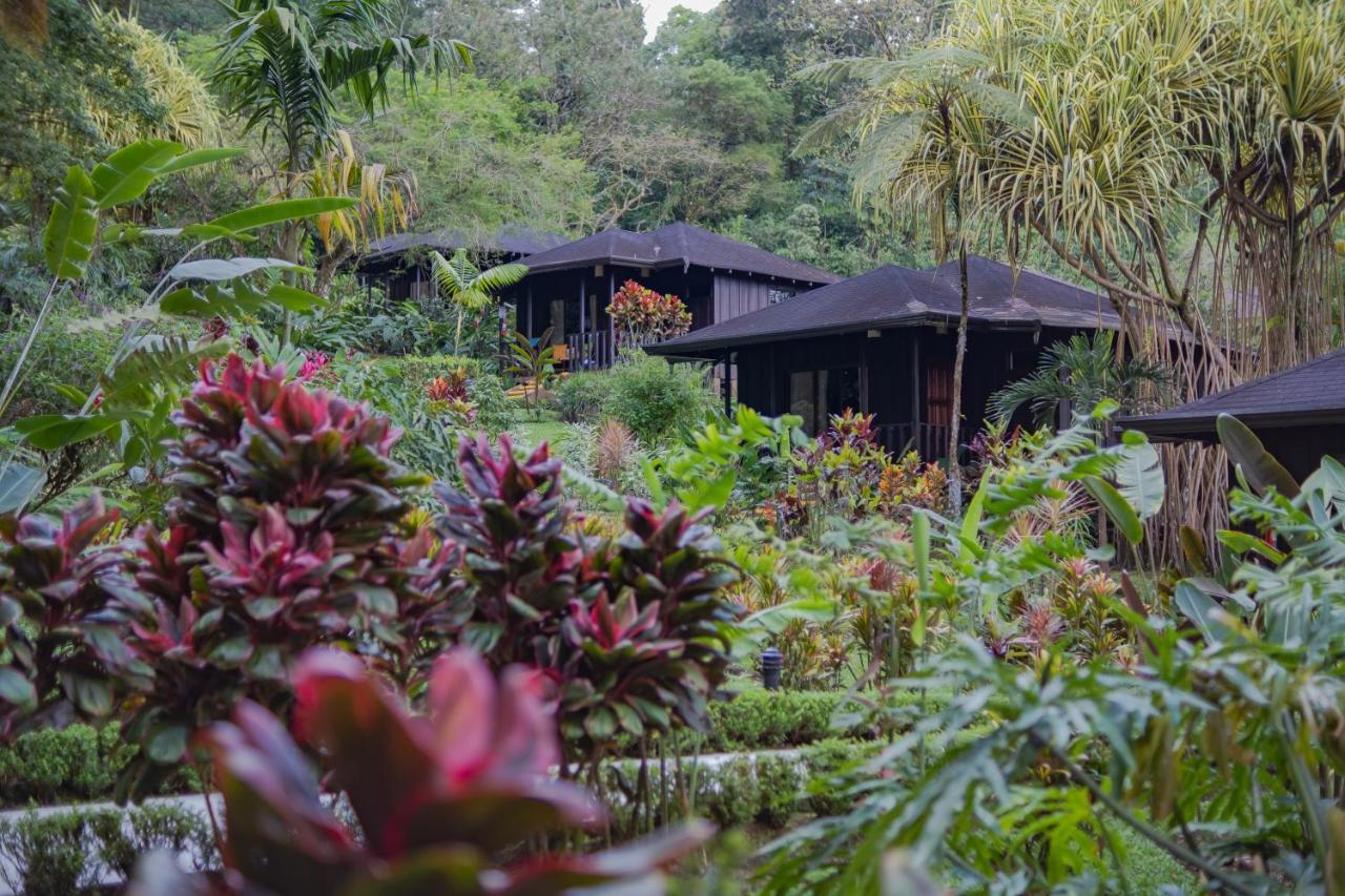 Hotel Lomas Del Volcan La Fortuna Dış mekan fotoğraf